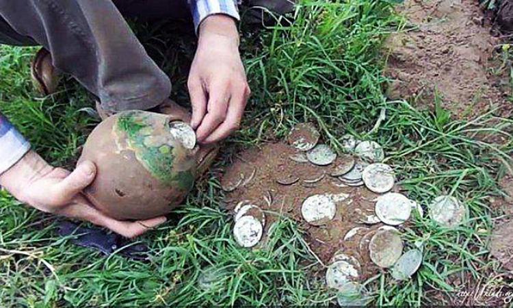 Живые клады Живые клады